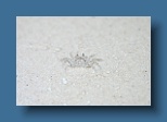 Helengeli 109